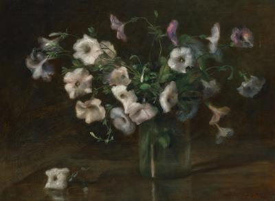 Petunias